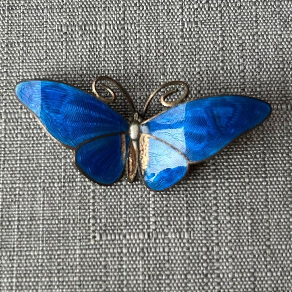 Blue Enamel Butterfly Brooch Real Wings